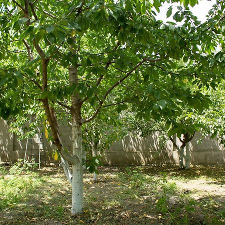 Villa On Fetali Khan クバ エクステリア 写真